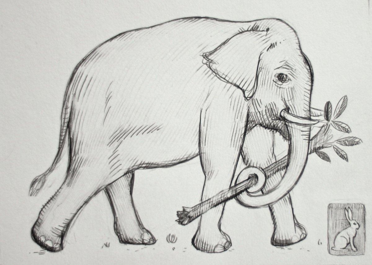 Слоны рисунок карандашом