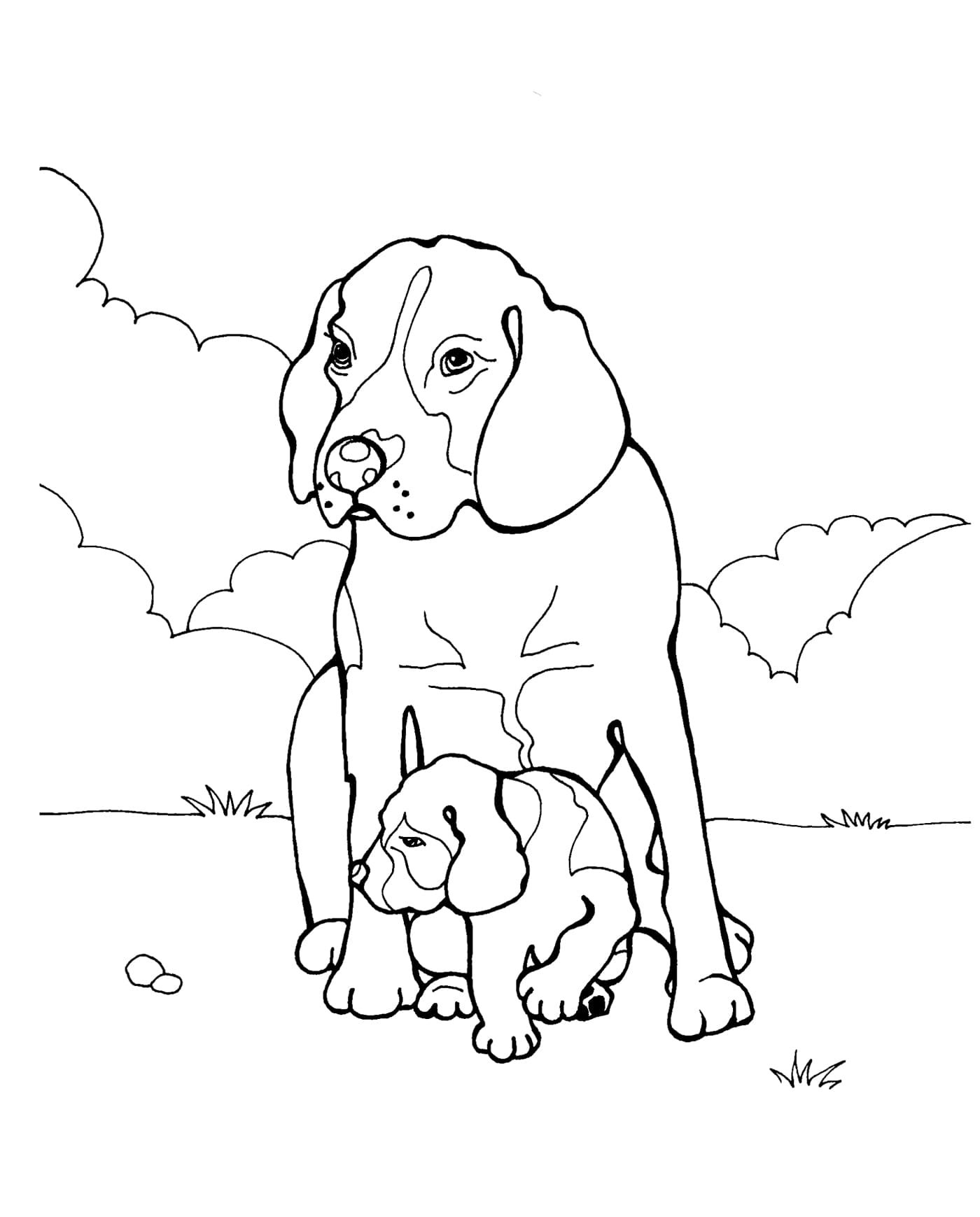 Раскраска собака и щенок для детей