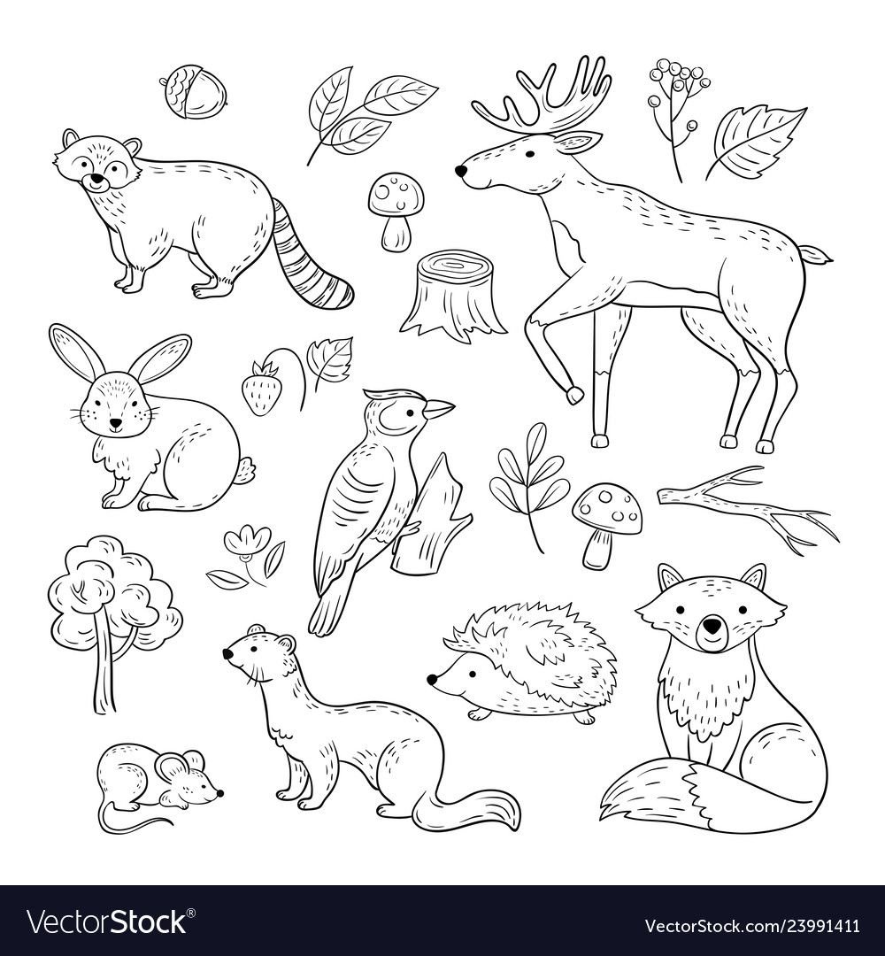 Животные на одной картинке раскраска