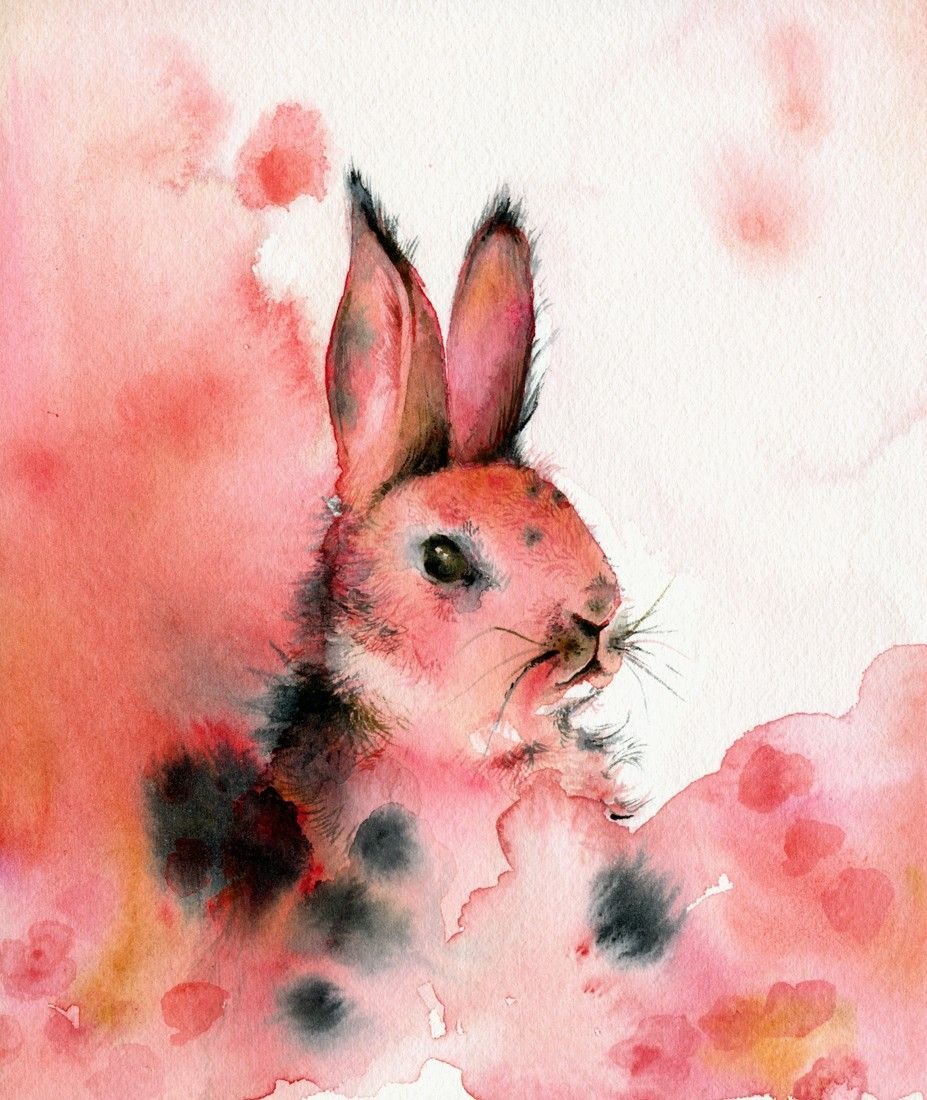 Кролик арт акварель