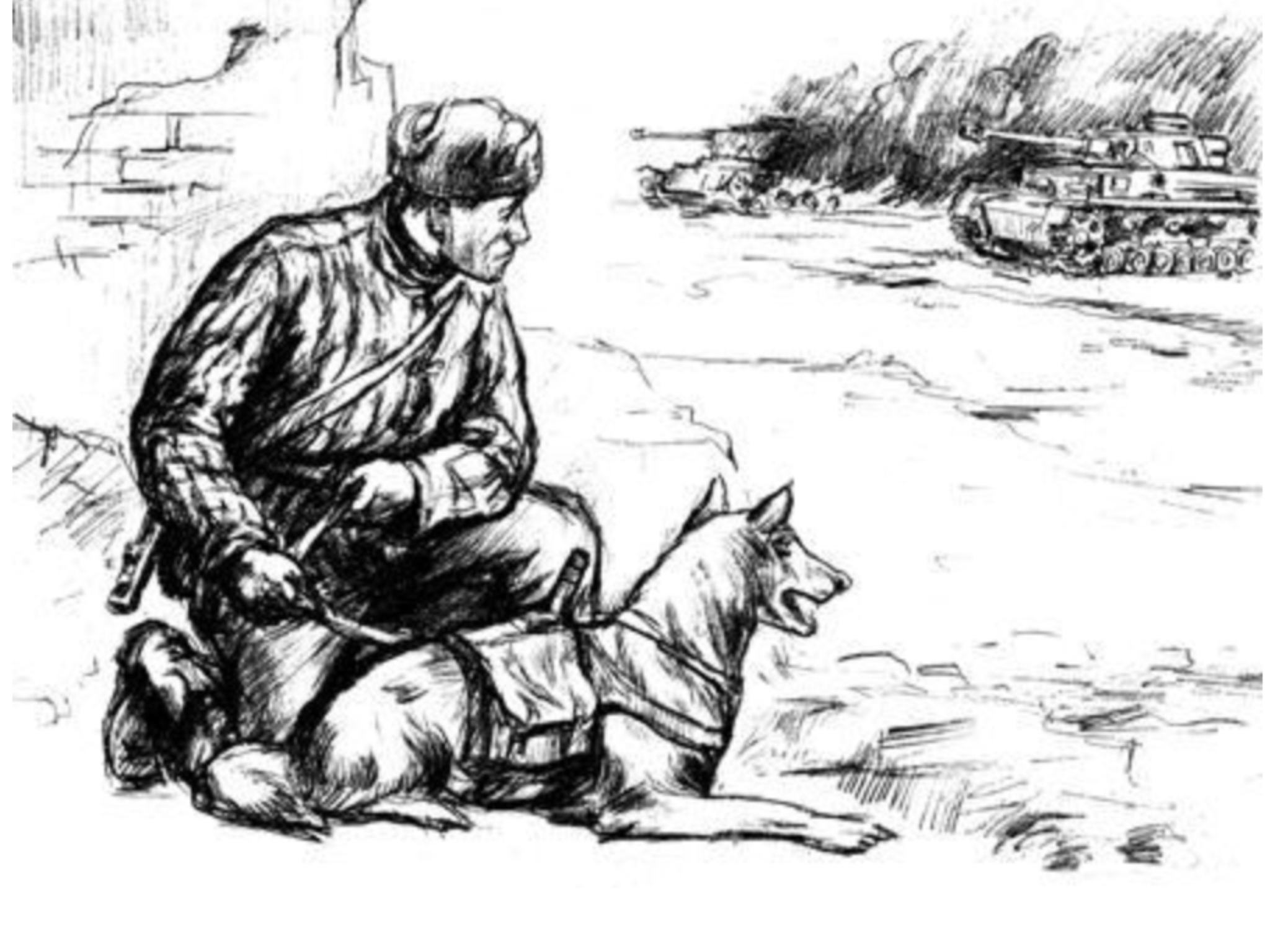 Животные в великой отечественной войне рисунок. Пограничник рисунок карандашом. Иллюстрации собаки на войне. Раскраска пограничник. Рисование пограничник с собакой.