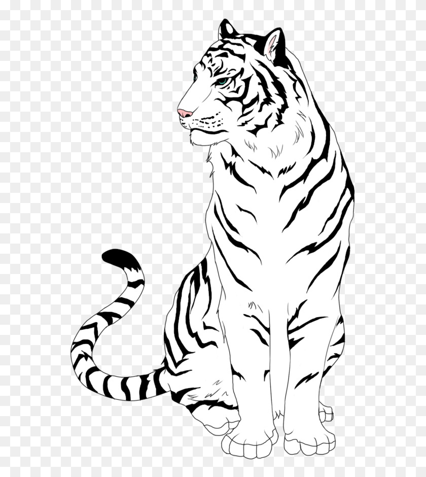 Тигр зарисовки