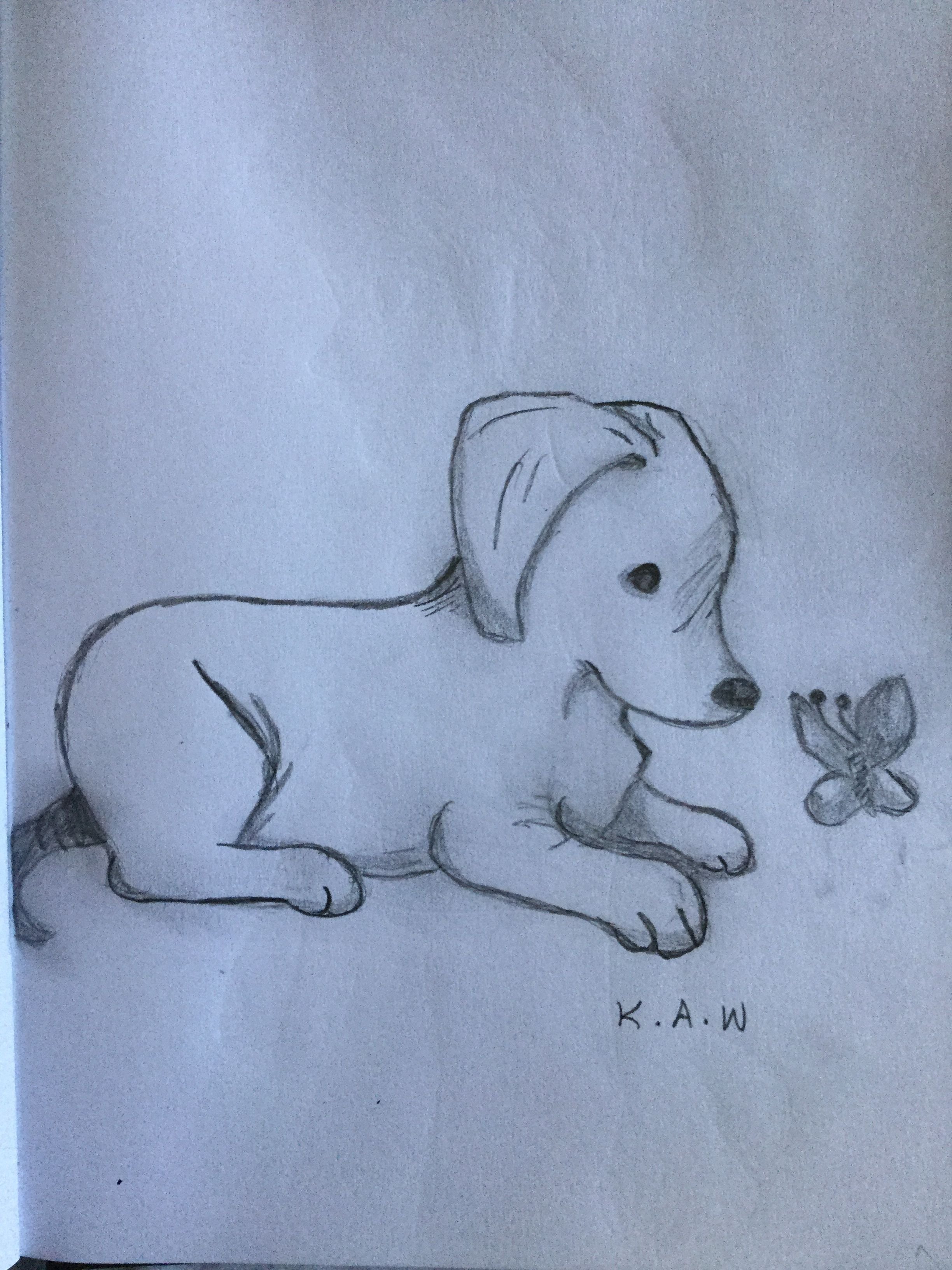 Рисунок на свободную тему собака