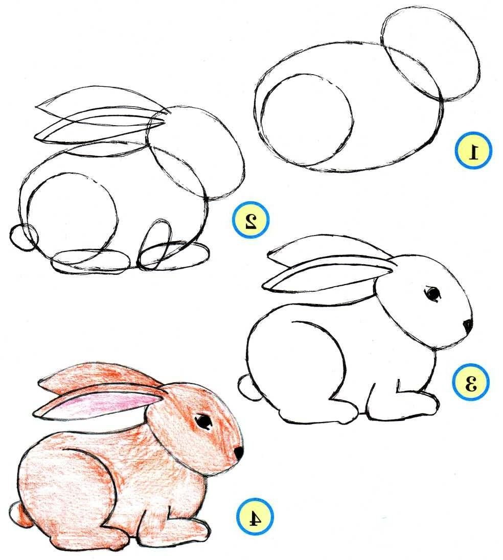 картинки для срисовки карандашом животные поэтапно