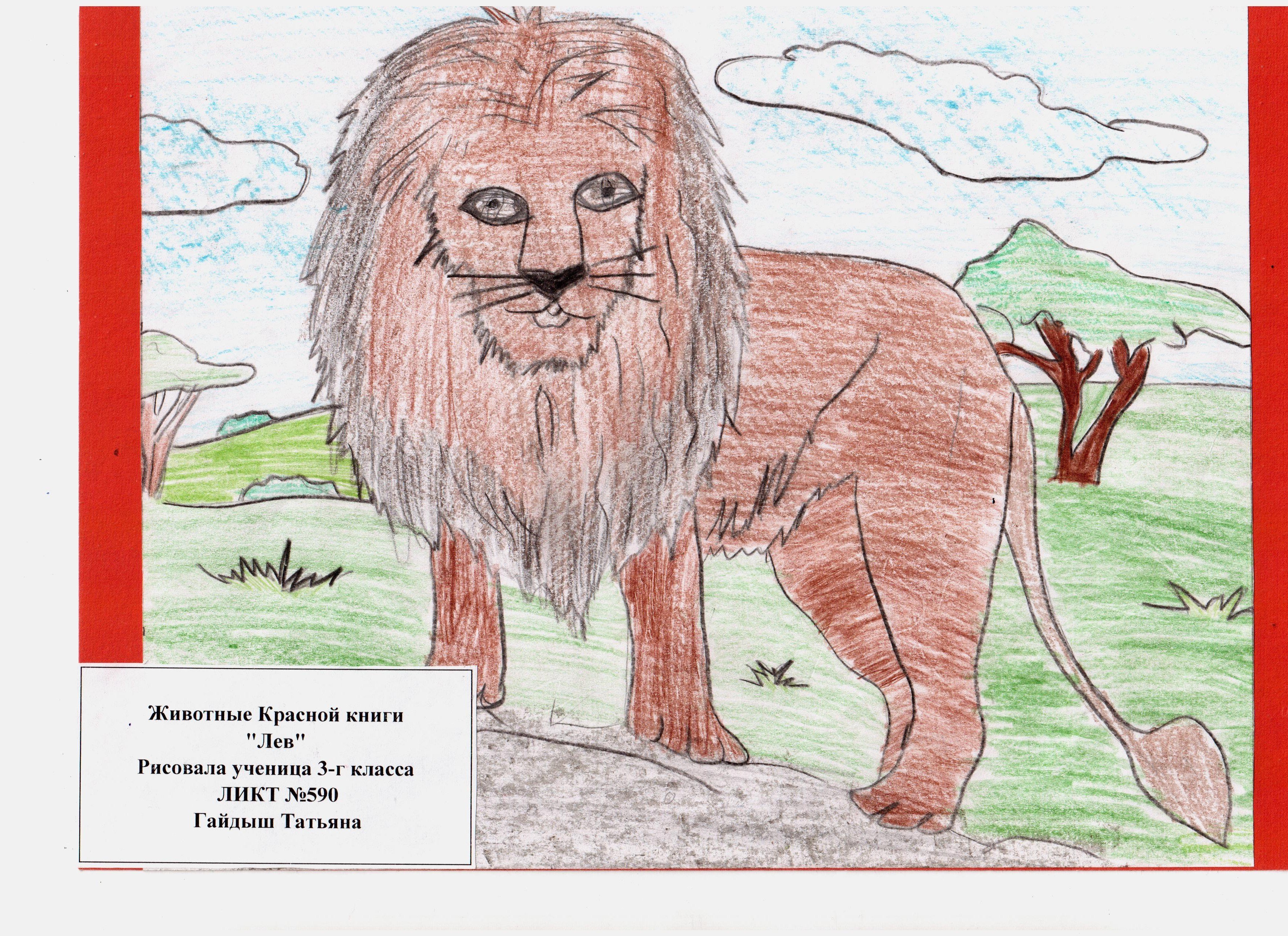 Рисунки животных красной книги