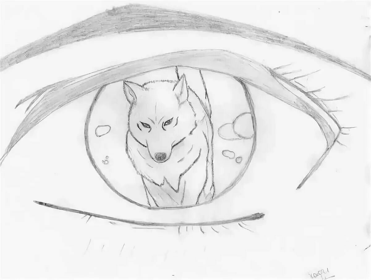 Рисунки для срисовки лёгкие волк