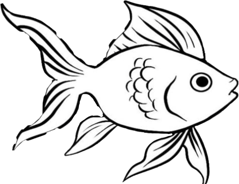 Рисунок рыбы для срисовки. Нарисовать рыбку карандашом. Рыбка рисунок карандашом. Рисунки рыбок для срисовки лёгкие и красивые. Рыбка для срисовки лёгкие.