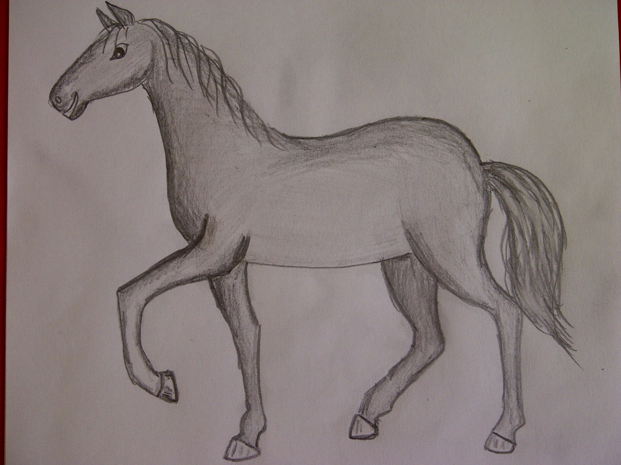 Конь рисунок. Лошадь карандашом. Лошадь рисунок карандашом. Рисунки лошадей для срисовки. Простые рисунки 7 класса