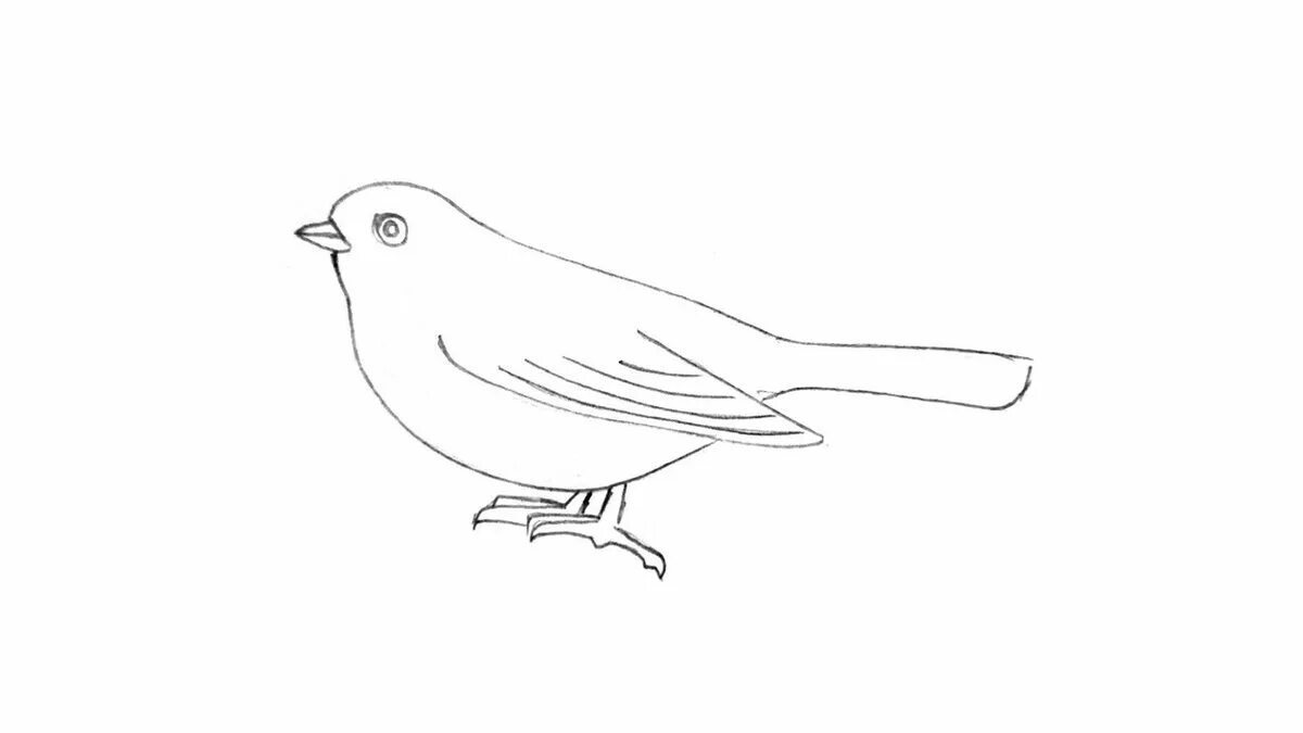 Рисунок птиц карандашом легкие. Воробей рисунок карандашом. Птица рисунок карандашом для детей. Воробей рисунок для детей карандашом. Рисунок воробья карандашом для срисовки.