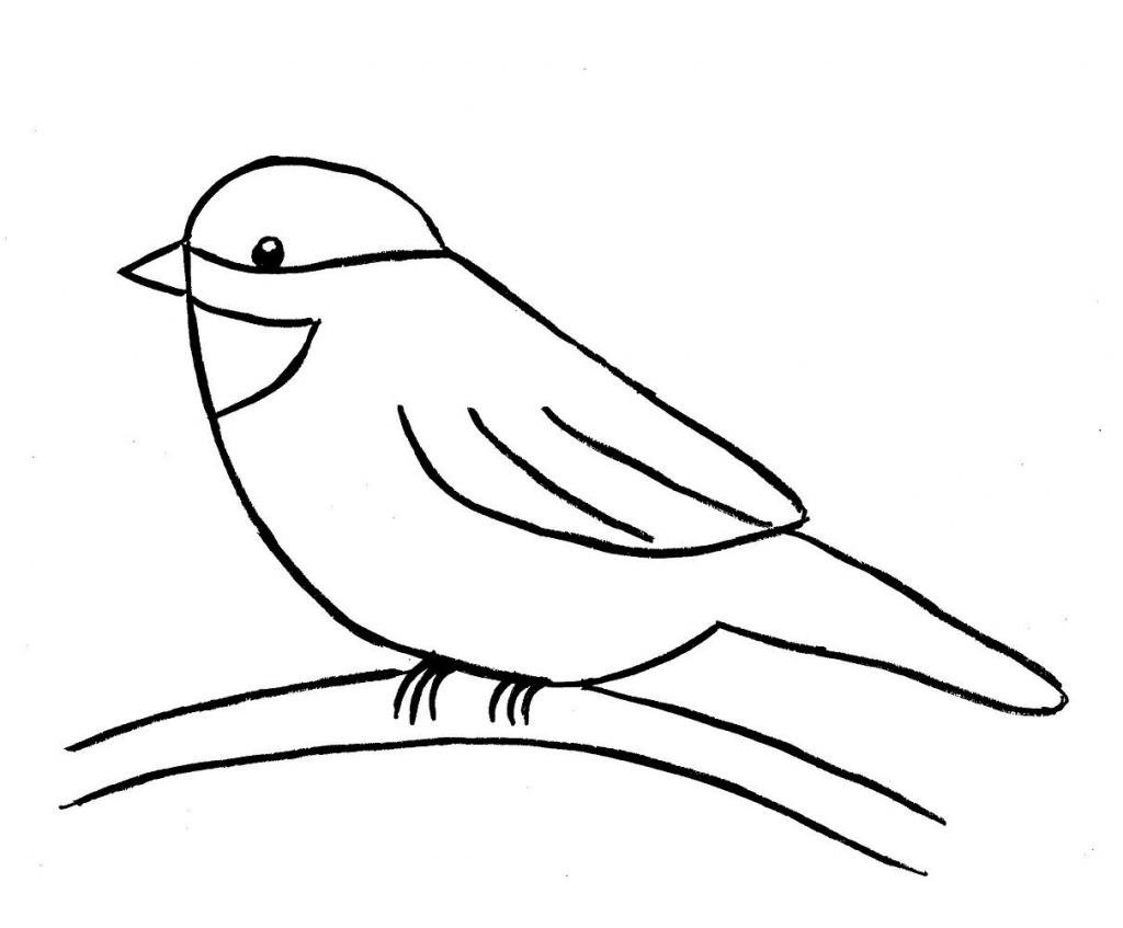 Птица синица рисунок карандашом