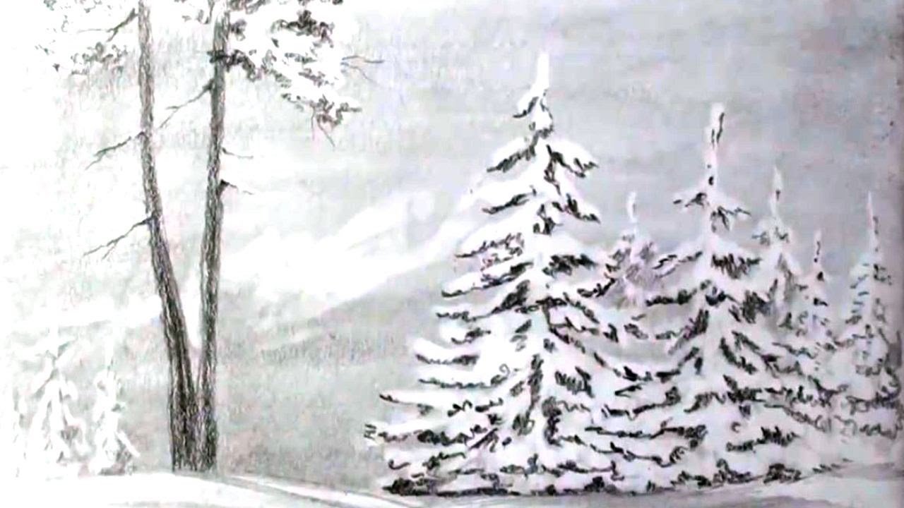 Зимний лес карандашом для начинающих