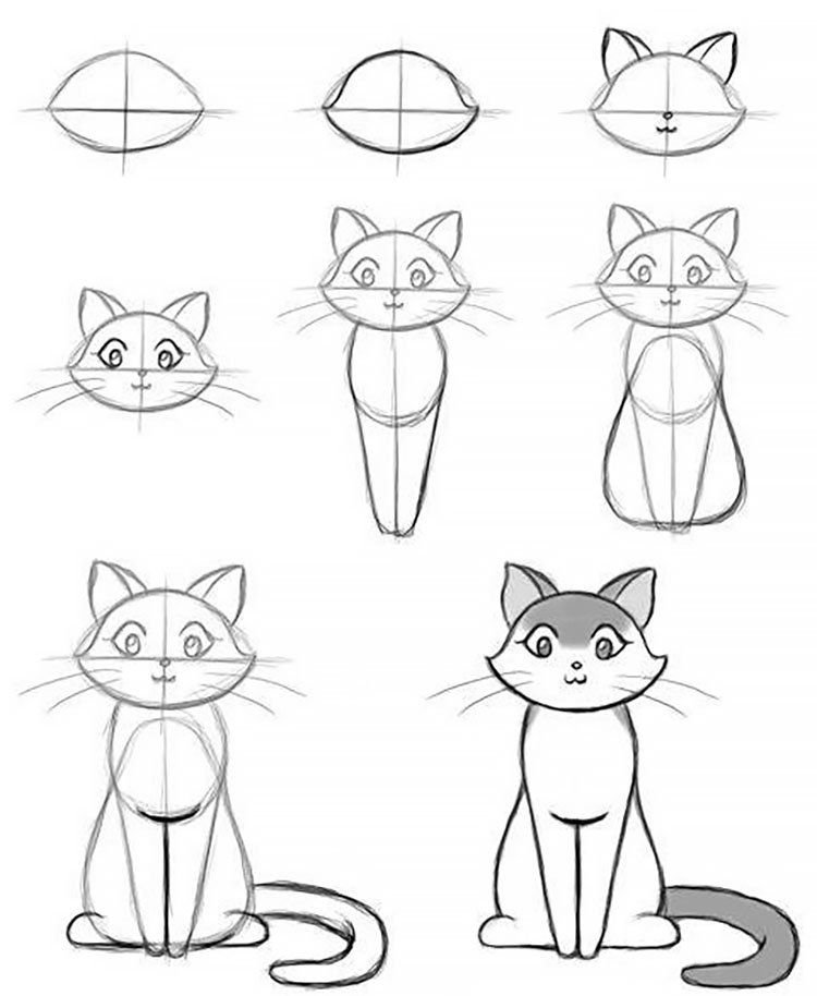 Картинки кошек рисовать. Поэтапное рисование кошки. Рисунок кошки пошагово карандашом. Кошка рисунок поэтапно. Рисунок кошки карандашом для срисовки легкие.