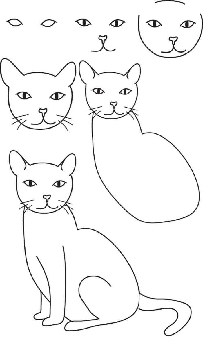 Схема рисования котенка для детей