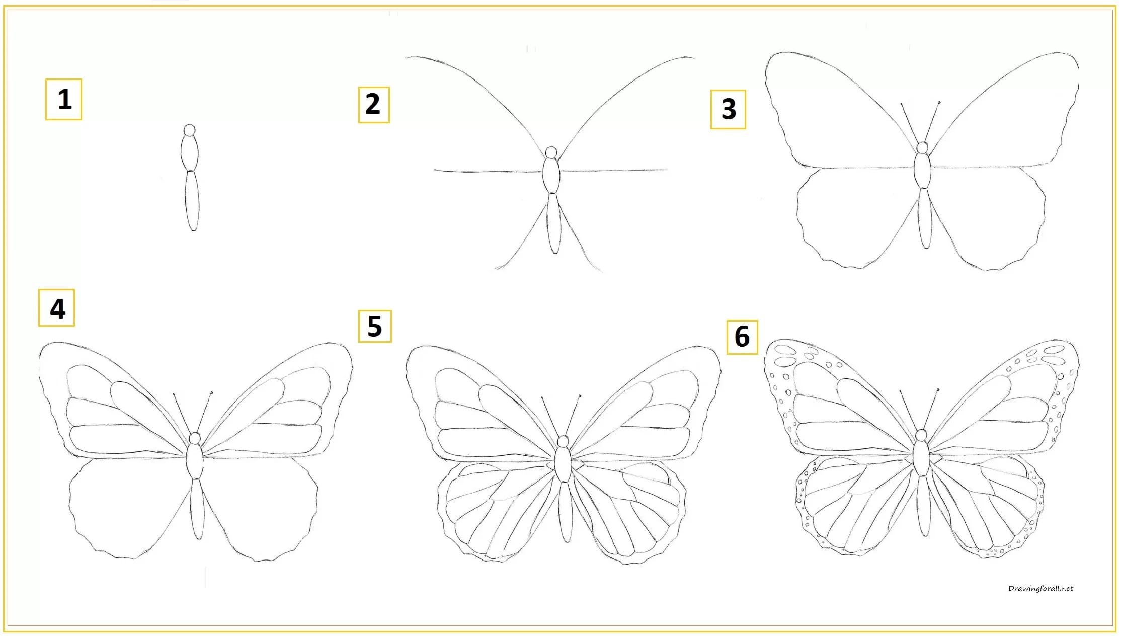 Рисование бабочки поэтапно