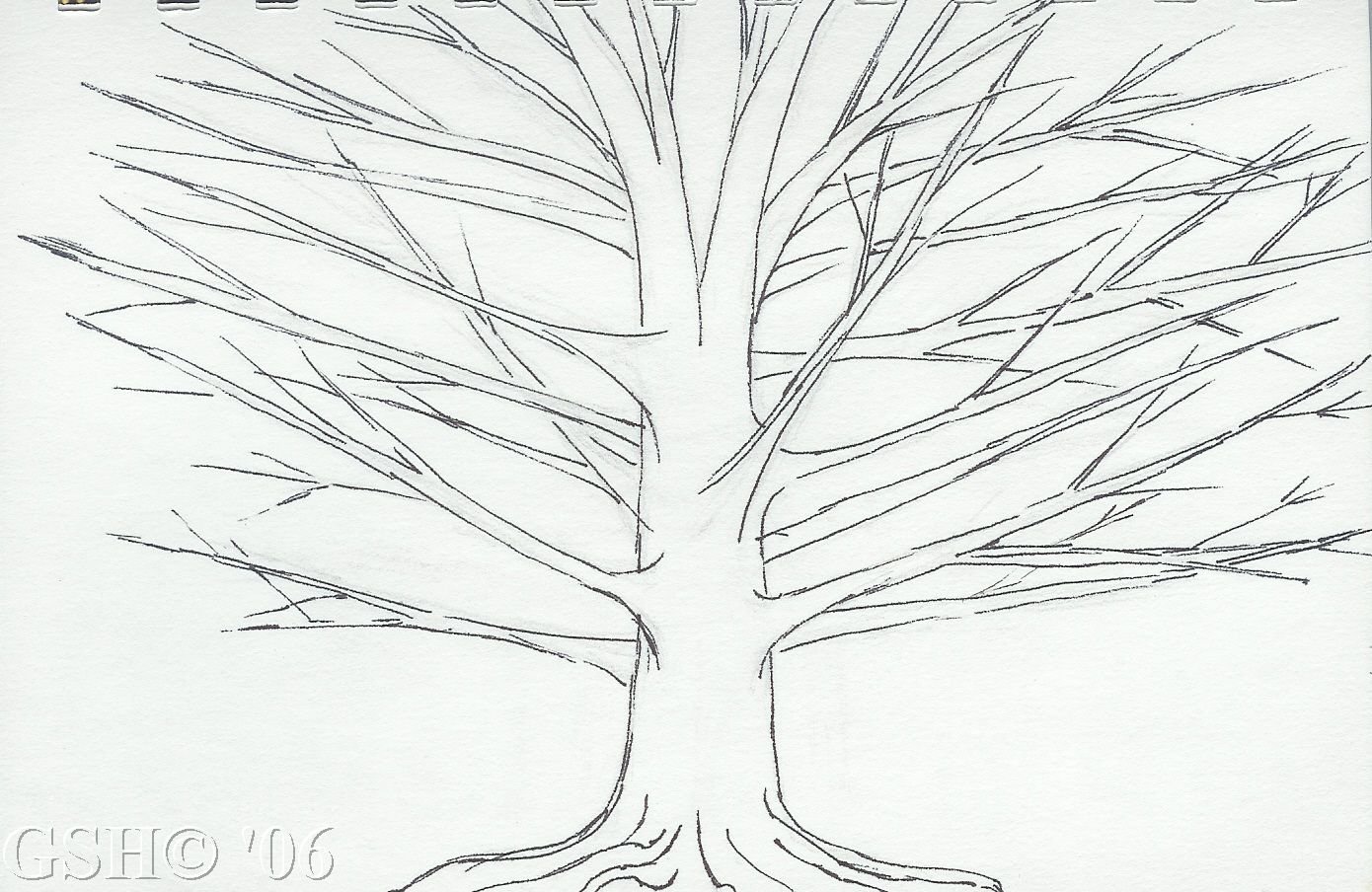 Листья деревьев карандашом для срисовки