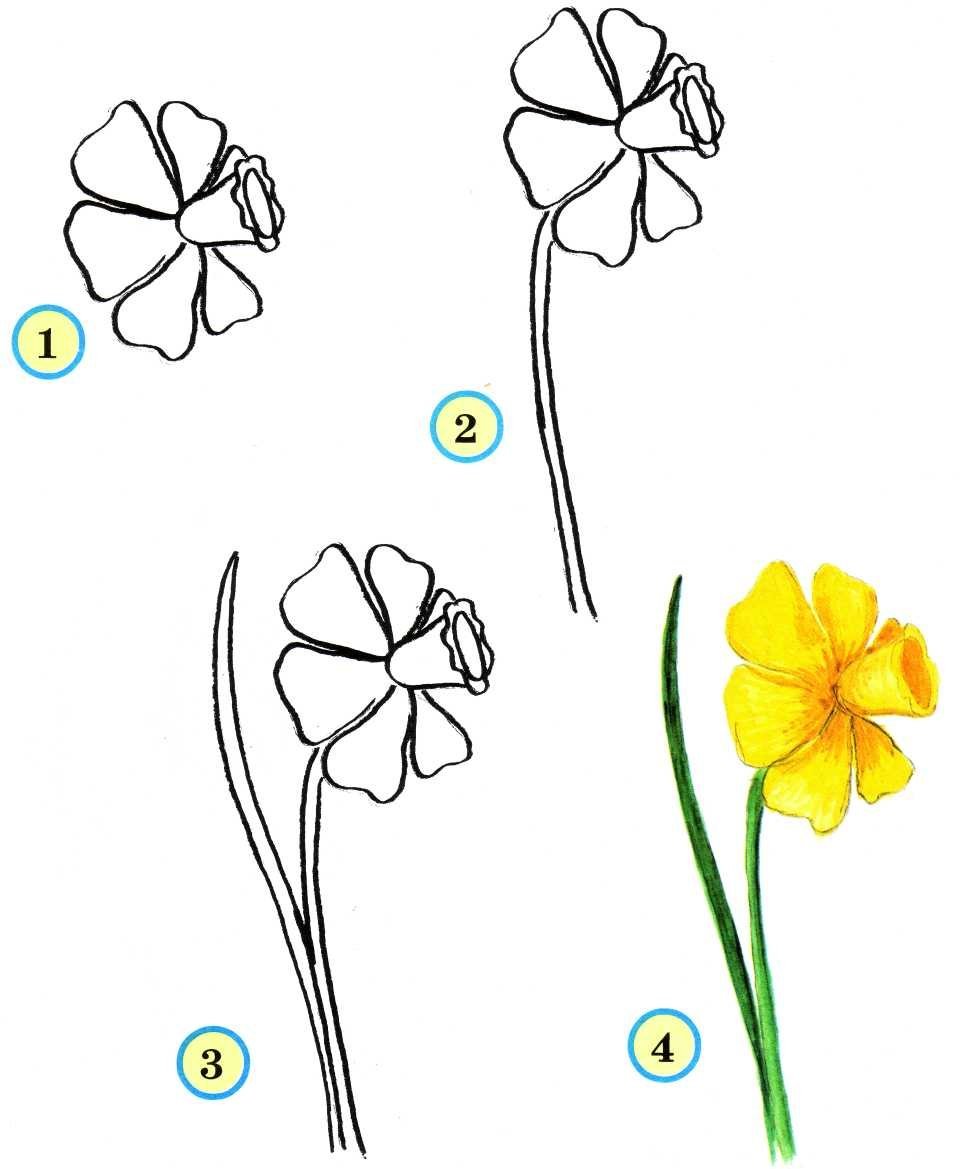 Простые рисунки поэтапно для начинающих цветы