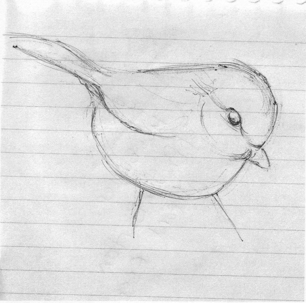 Нарисовать птицу карандашом