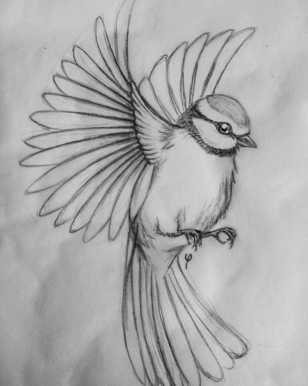 Красивая птица рисунок