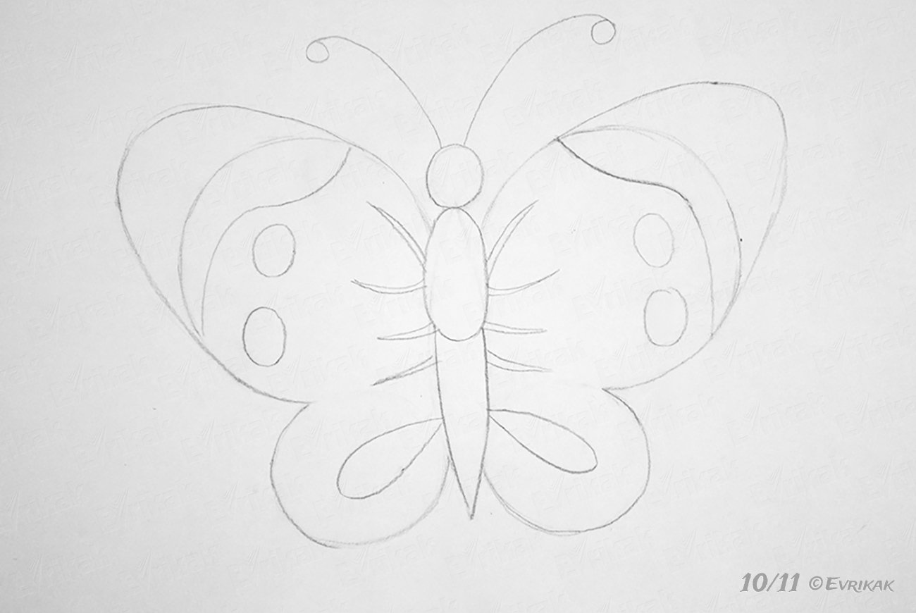 Рисунки бабочек для срисовки лёгкие для украшение стола