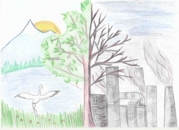 Орлята экология 3 класс. Рисунок на тему экология. Рисунок на тему экология карандашом. Рисунок на тему экология легкий. Рисунки для срисовки на тему экология.