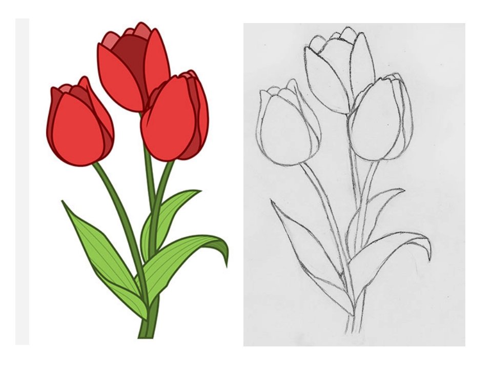 Нарисовать рисунок тюльпаны. Тюльпаны карандашом. Тюльпан карандашом для начинающих. Рисование цветов для детей. Тюльпаны рисунок карандашом.