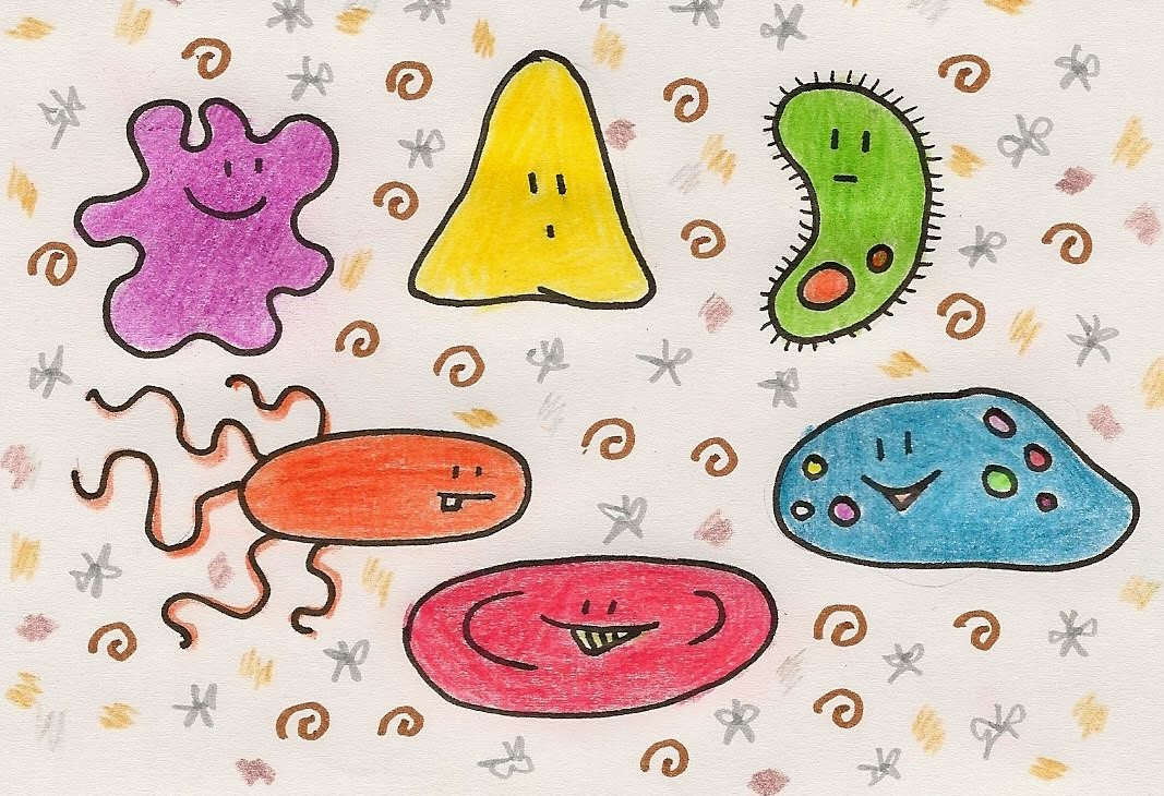 Рисование микробы. Микроб рисунок. Бактерии для срисовки. Бактерии карандашом. Легкая тема по биологии