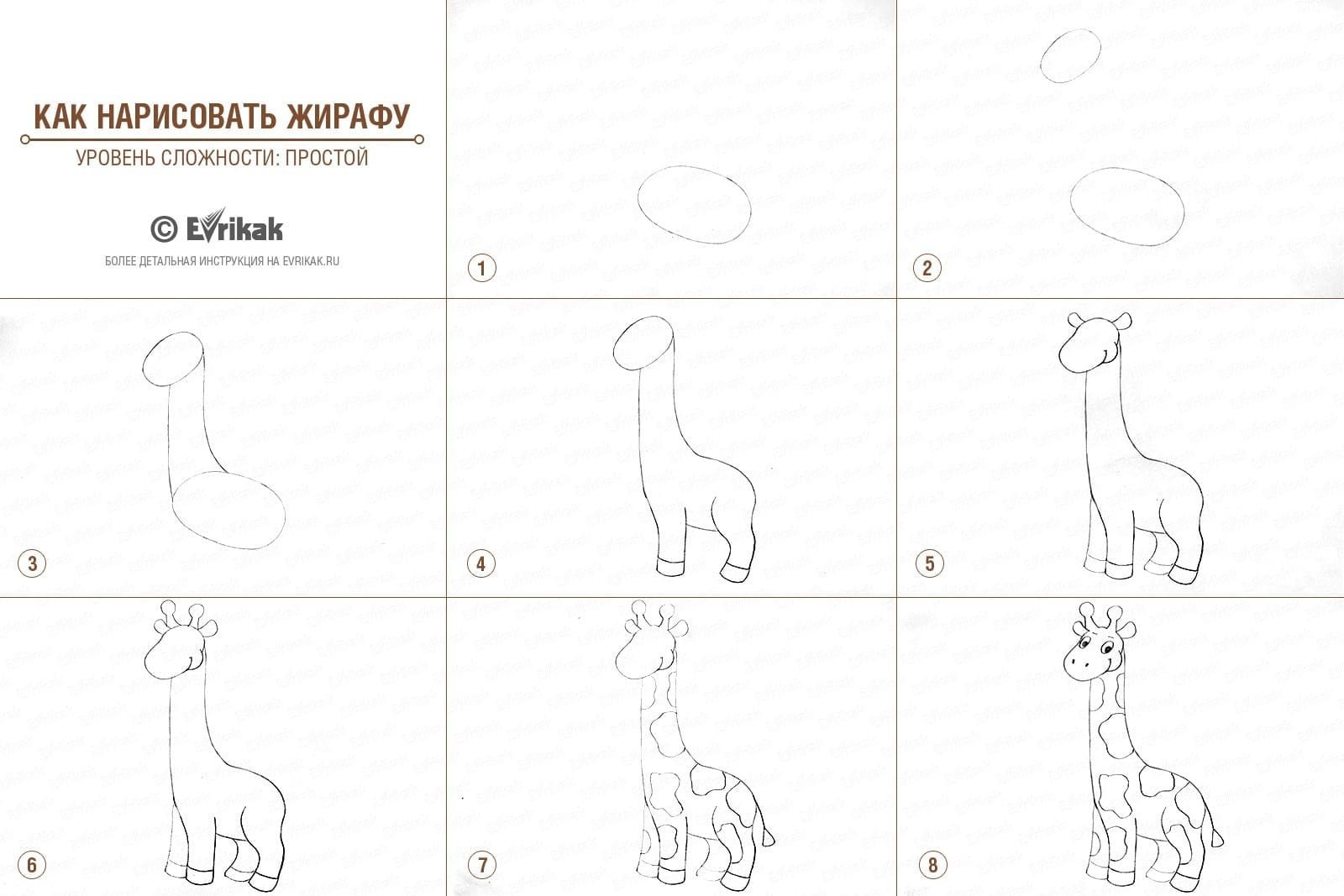 Схема рисования жирафа для детей