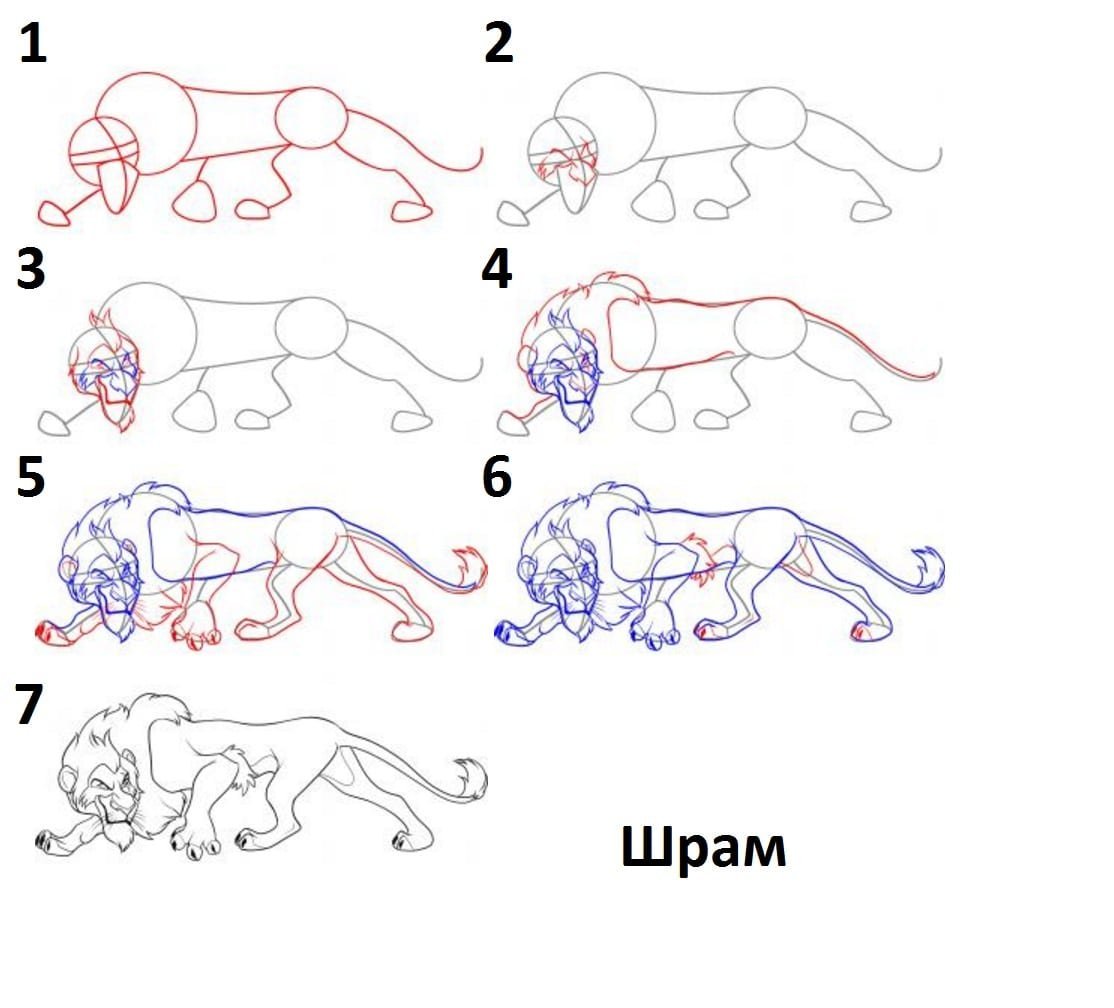 Пошаговое рисование Льва