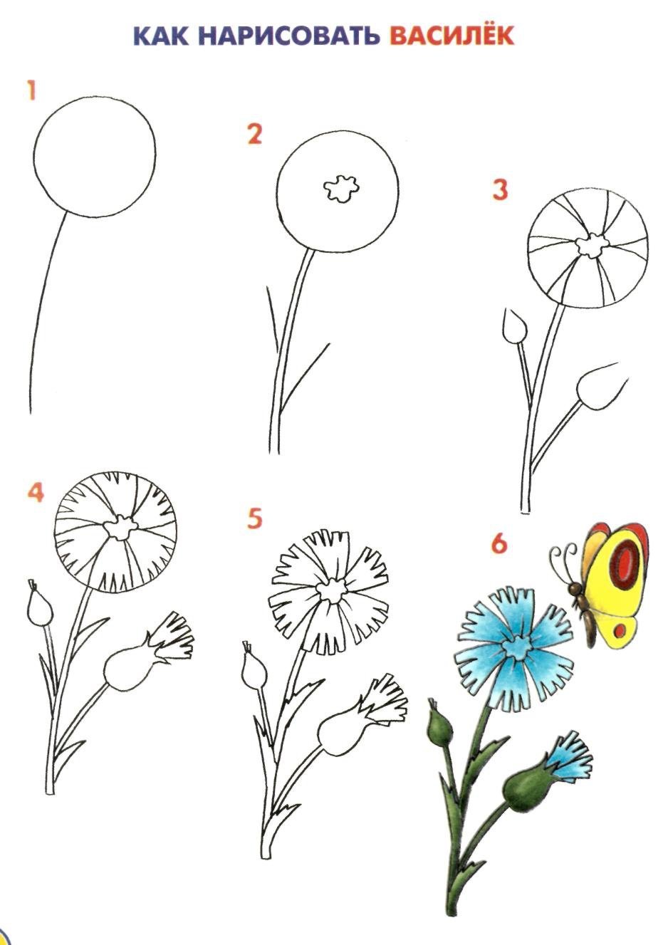 Цветы поэтапное рисование для детей