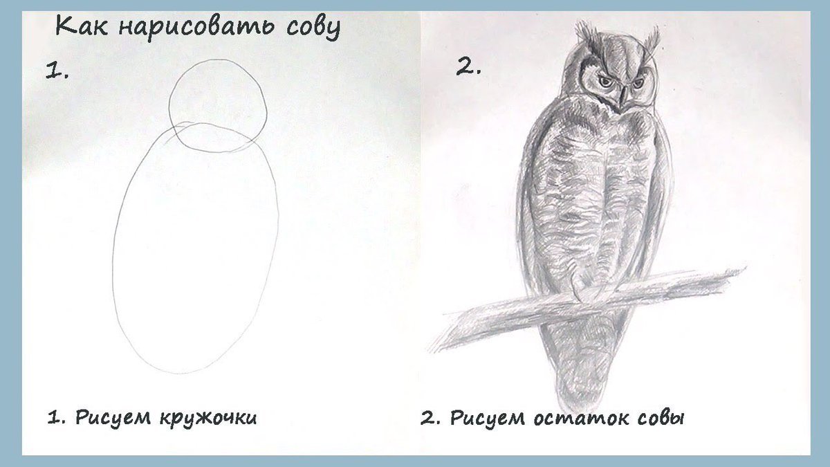 Как нарисовать сову Мем