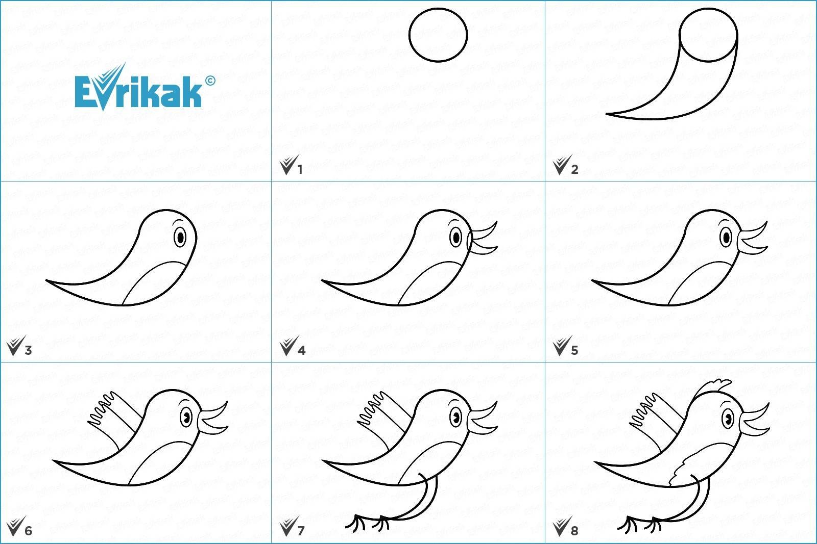 Схема рисования птицы для детей