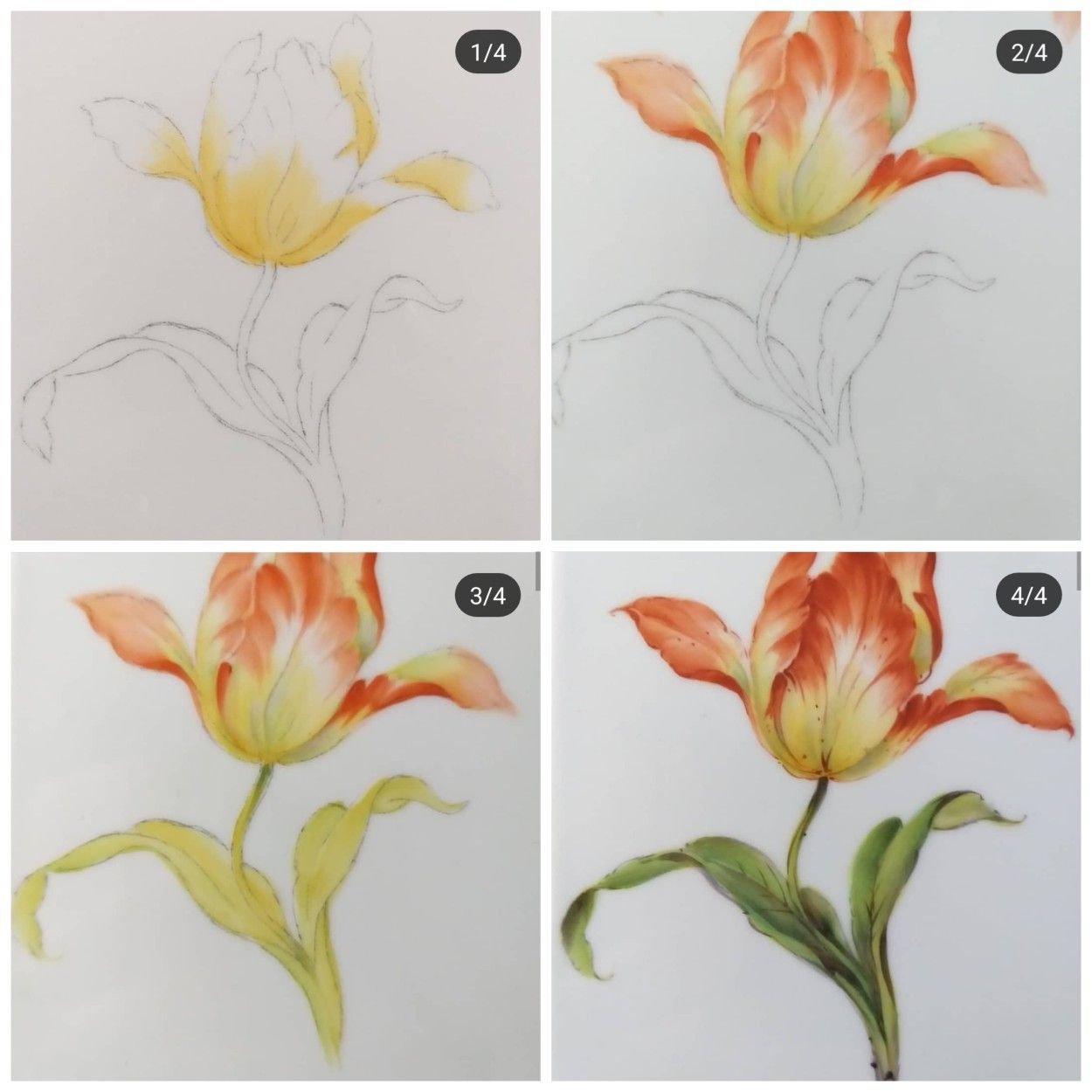Поэтапное рисование цветов акварелью