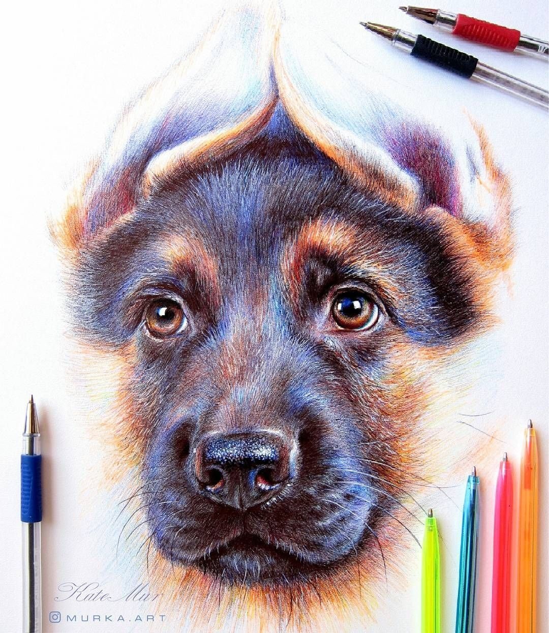 Собаки маркерами. Рисунки цветными карандашами. Профессиональные рисунки. Красивые рисунки цветными карандашами. Профессиональные рисунки цветными карандашами.
