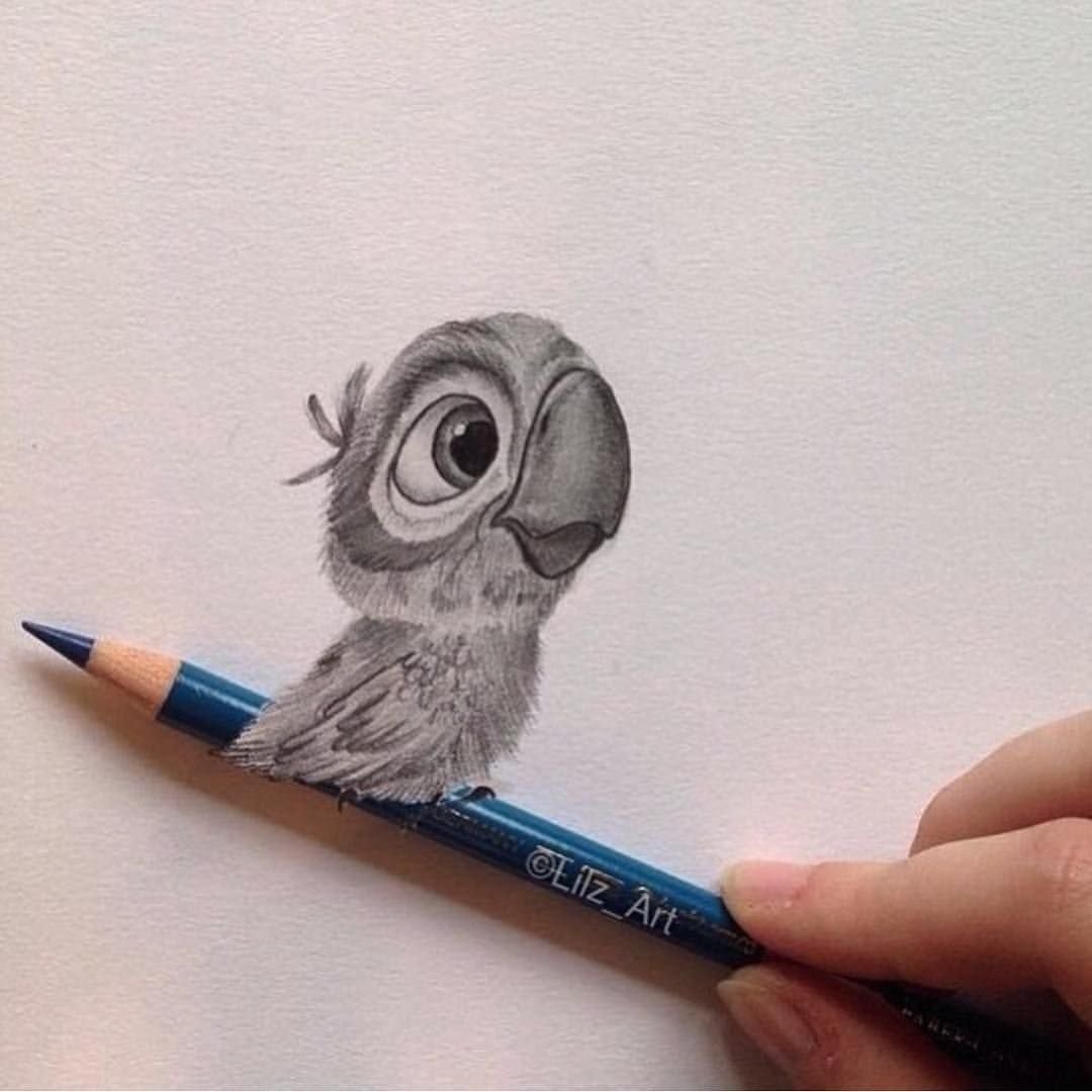 Самые милые рисунки животных карандашом