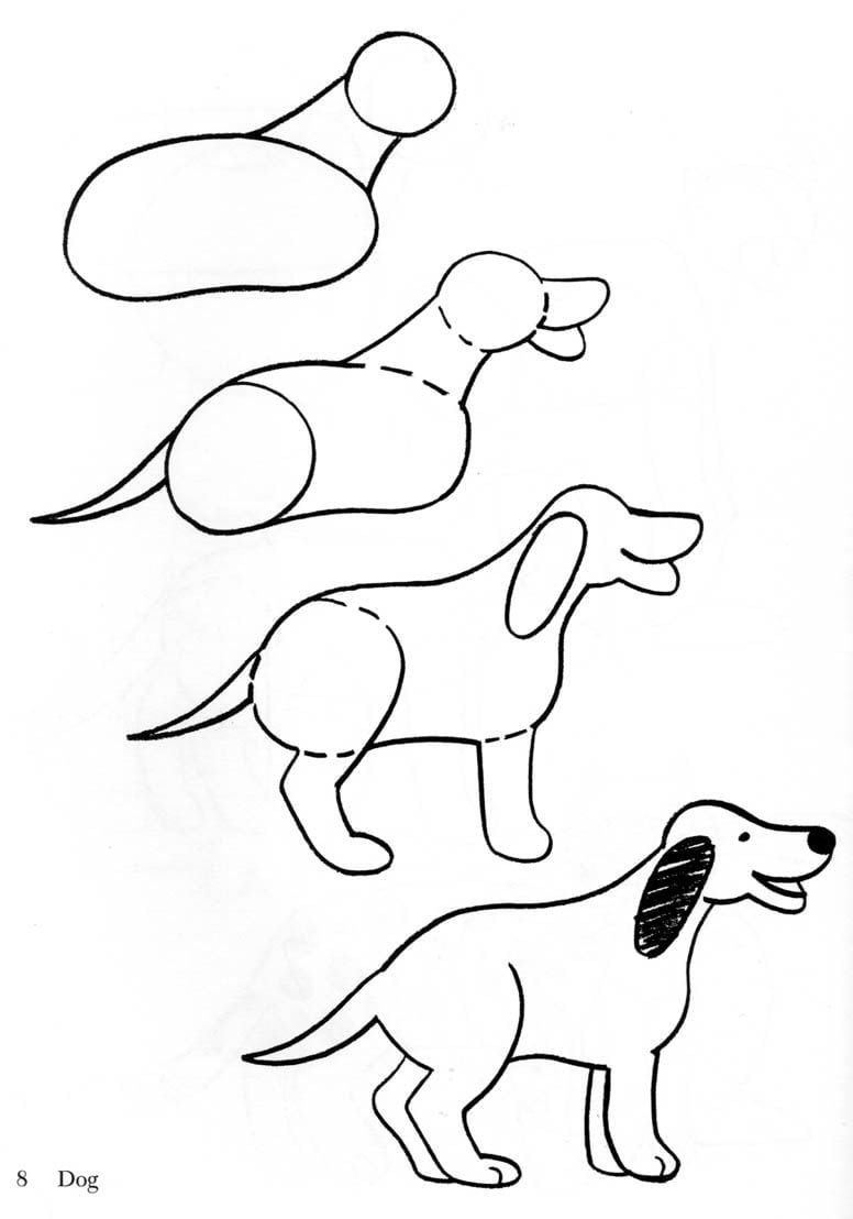 Урок рисования собаки для детей