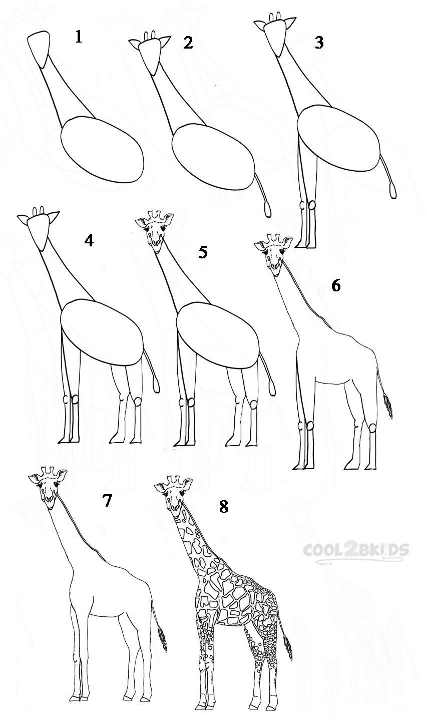 Поэтапное рисование жирафа для дошкольников