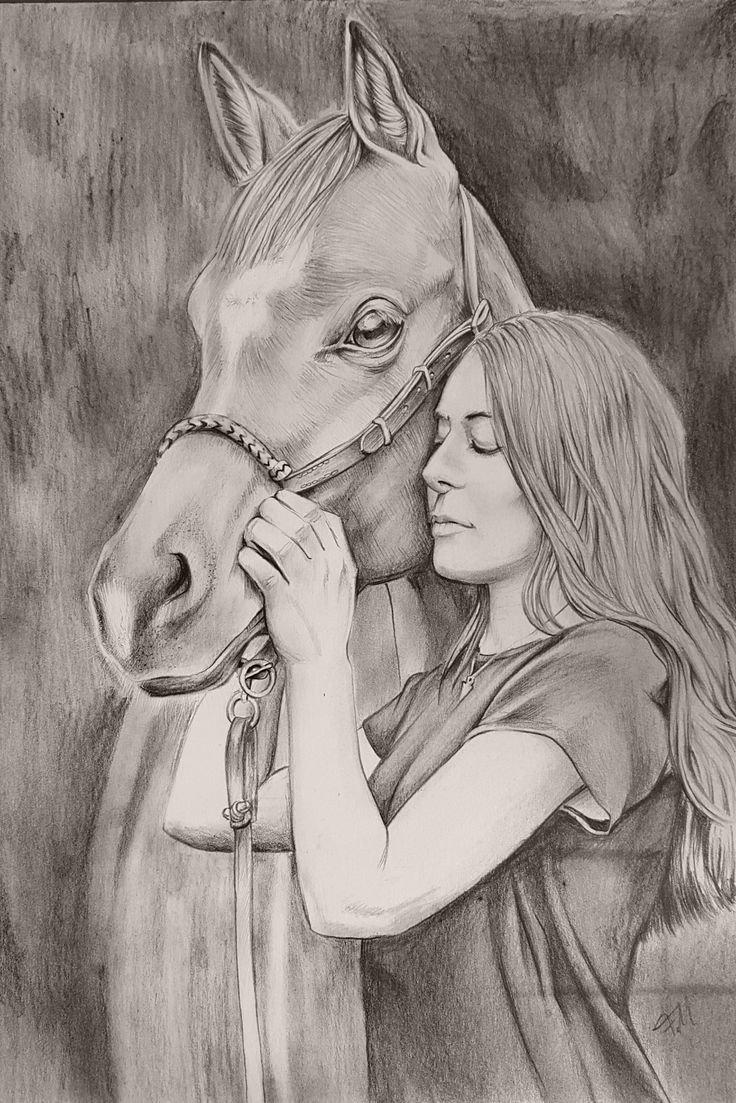 Лошадь с девочкой карандашом