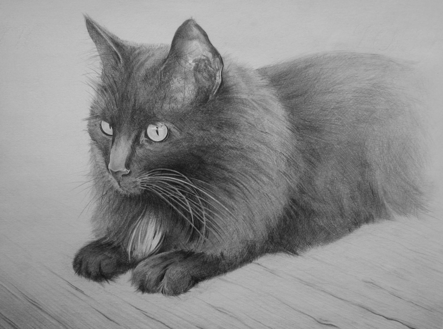 Рисование кошечку. Кошка рисунок. Кошка карандашом. Кошка рисунок карандашом. Красивые рисунки кошек карандашом.