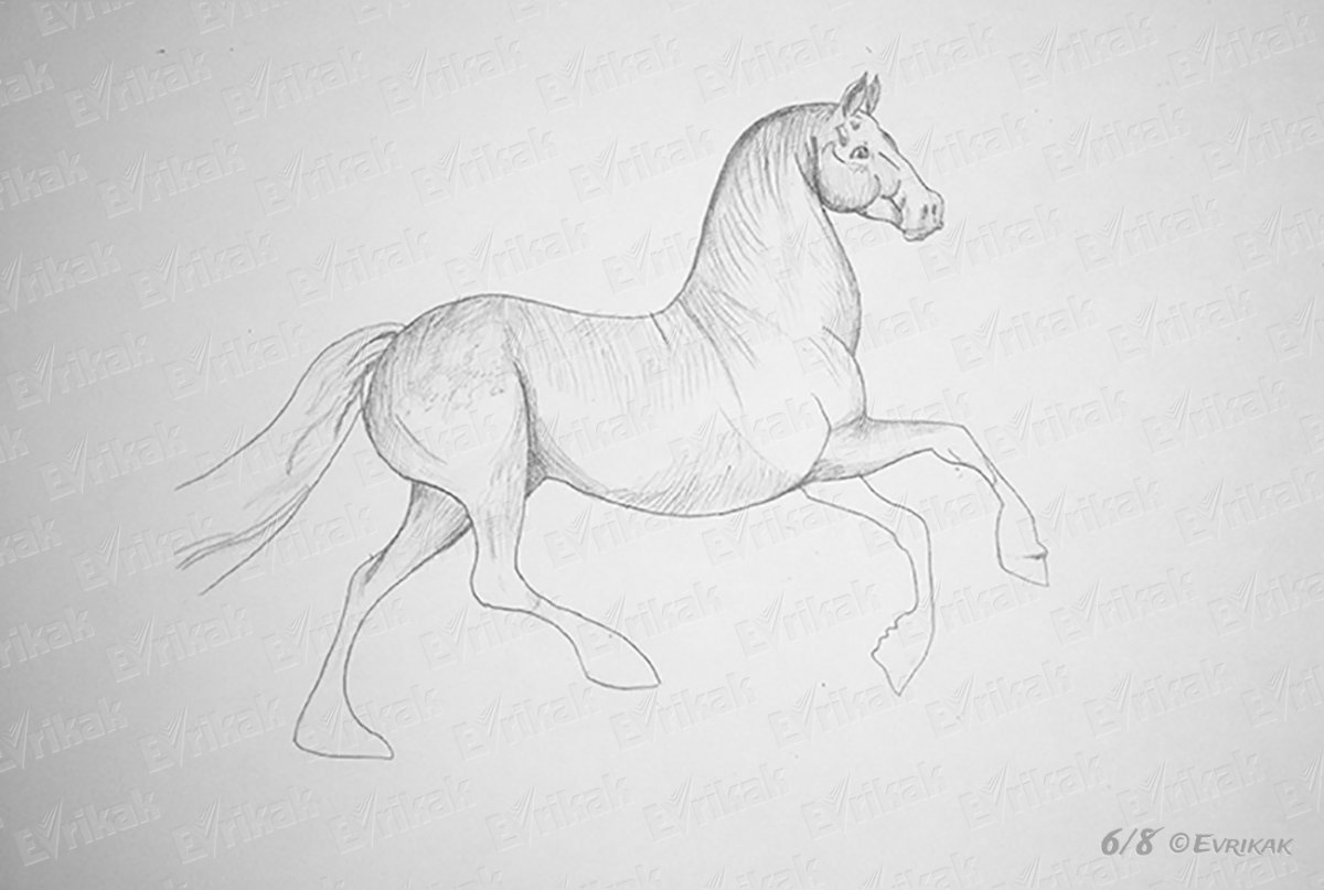 Рисунки лошадей карандашом легкие