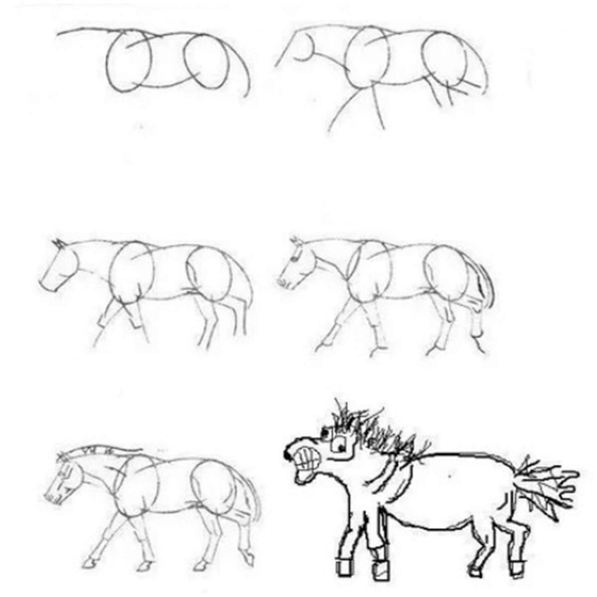 Учимся рисовать лошадь