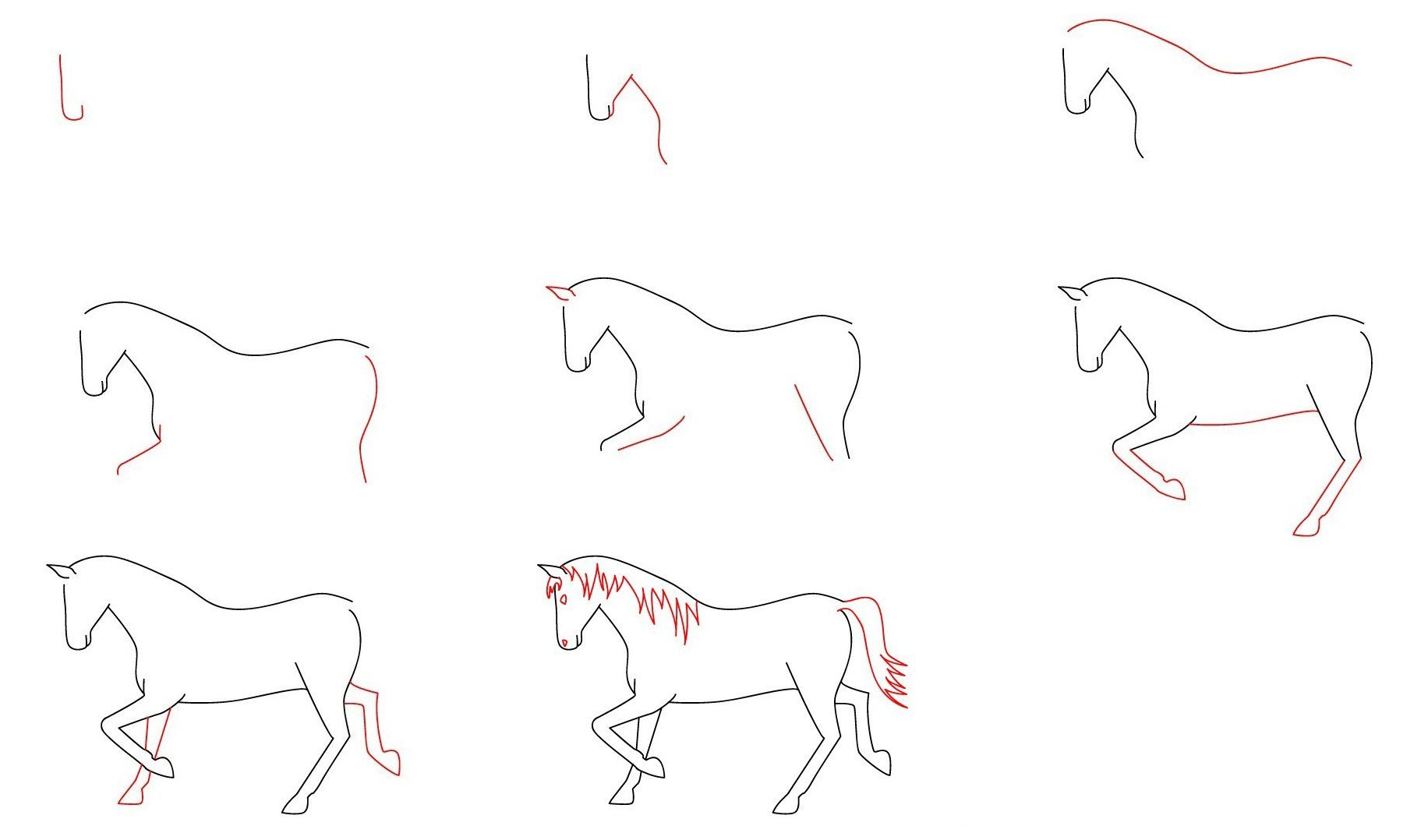 Рисуем лошадь поэтапно. Схема рисования лошади. Поэтапный рисунок лошади. Пошаговое рисование лошади. Поэтапное рисование лошади для детей.