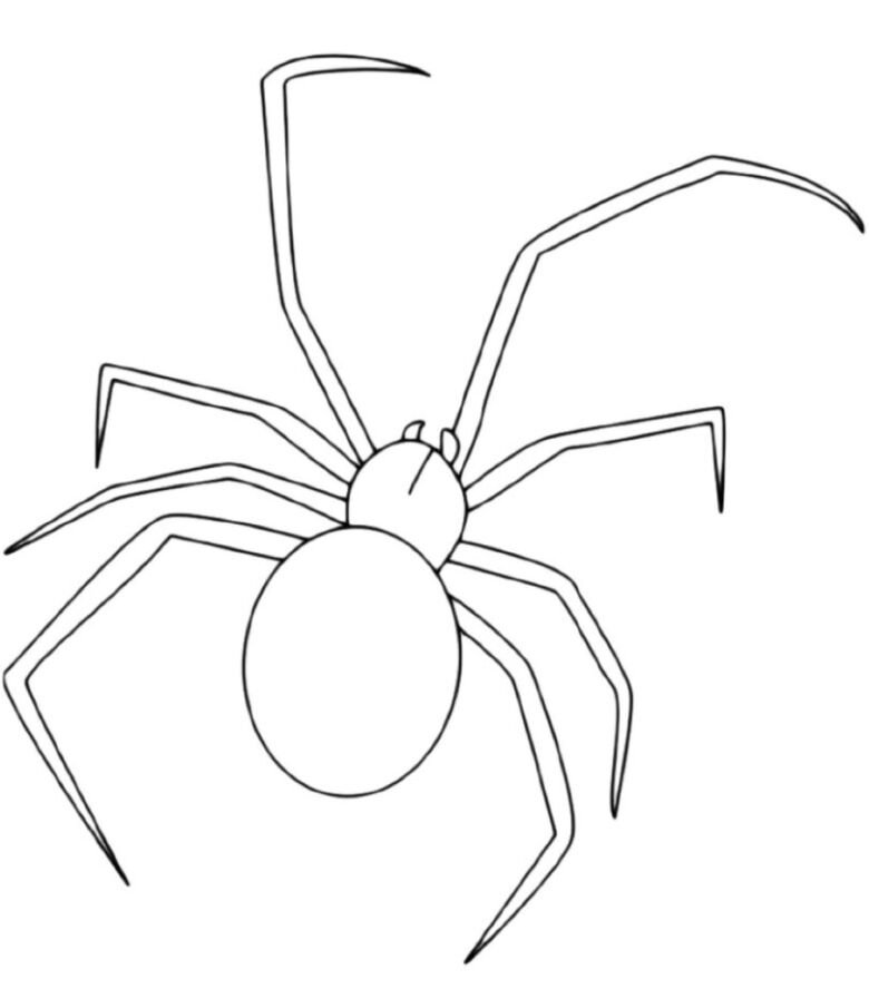 Как нарисовать паука пошагово