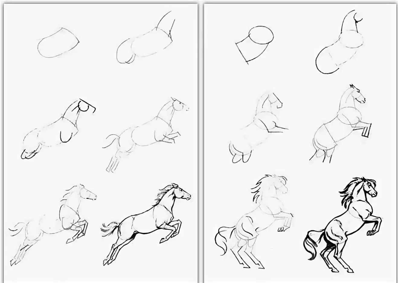 Как нарисовать лошадь пошагово