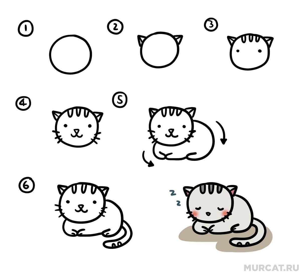 Поэтапное рисование котенка для детей