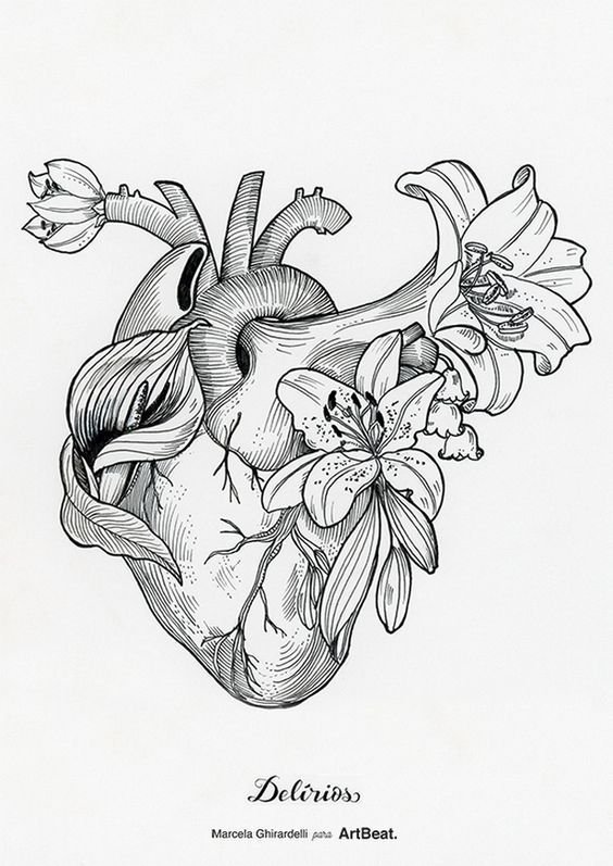 Красивые рисунки карандашом цветы тату (40 фото) » рисунки для срисовки на  Газ-квас.ком