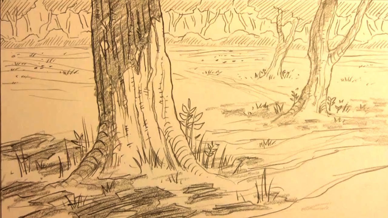 Нарисовать лес карандашом