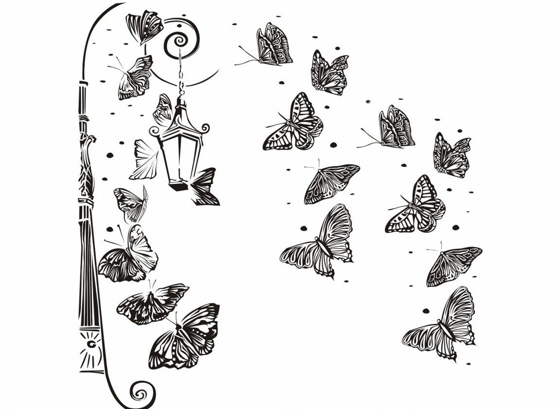 Бабочки Графика черно-белая