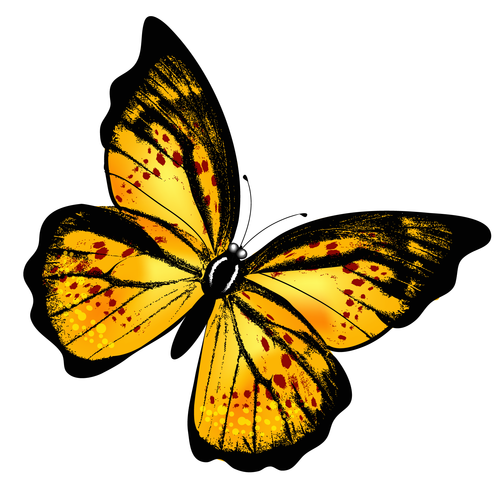Прозрачном фоне формата png. Жёлтая бабочка. Бабочка рисунок. Красивые бабочки. Яркие бабочки.