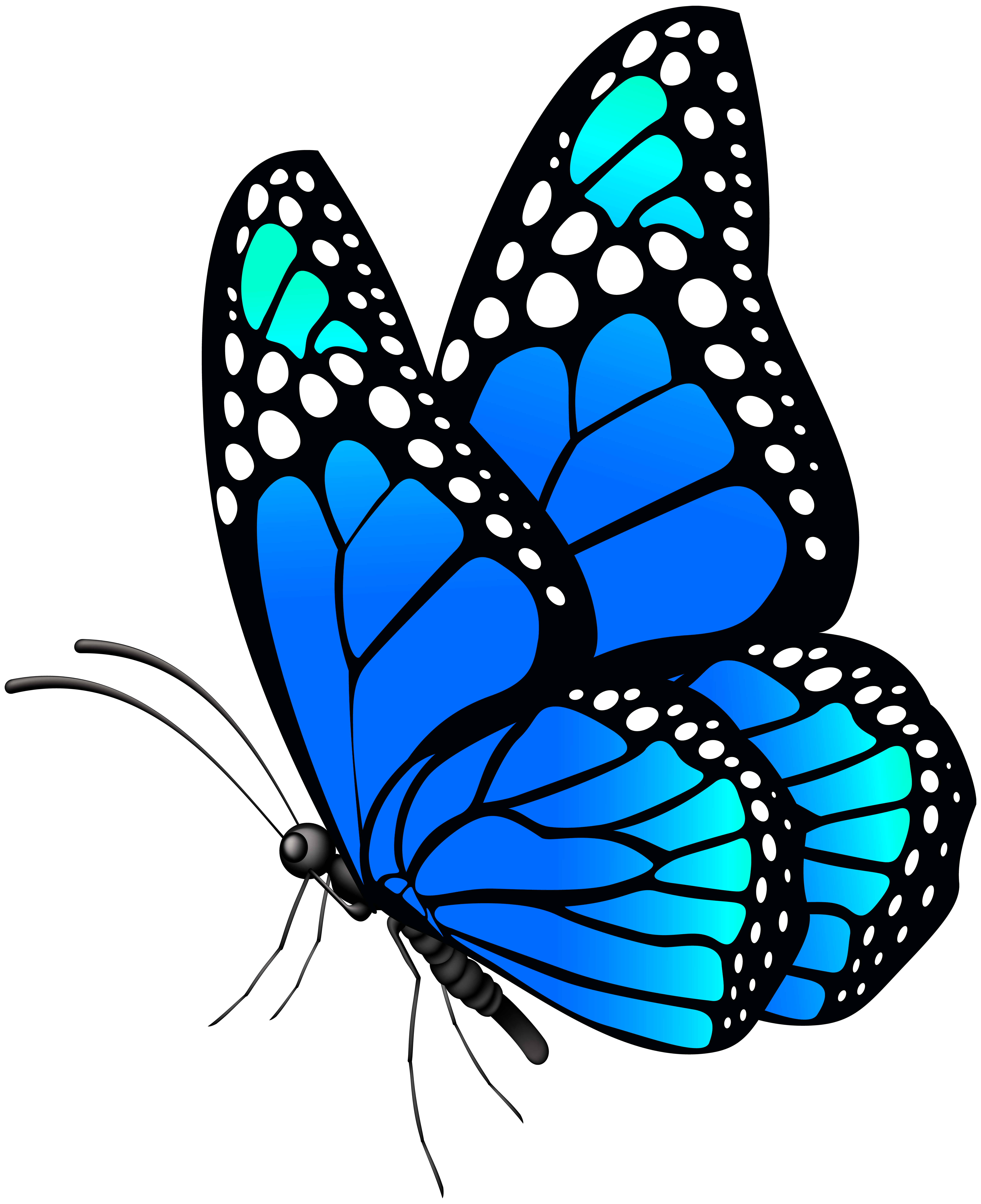 Бабочка рисунок. Бабочки картинки. Бабочки на просроченном фоне. Бабачкина прозрачном фоне.