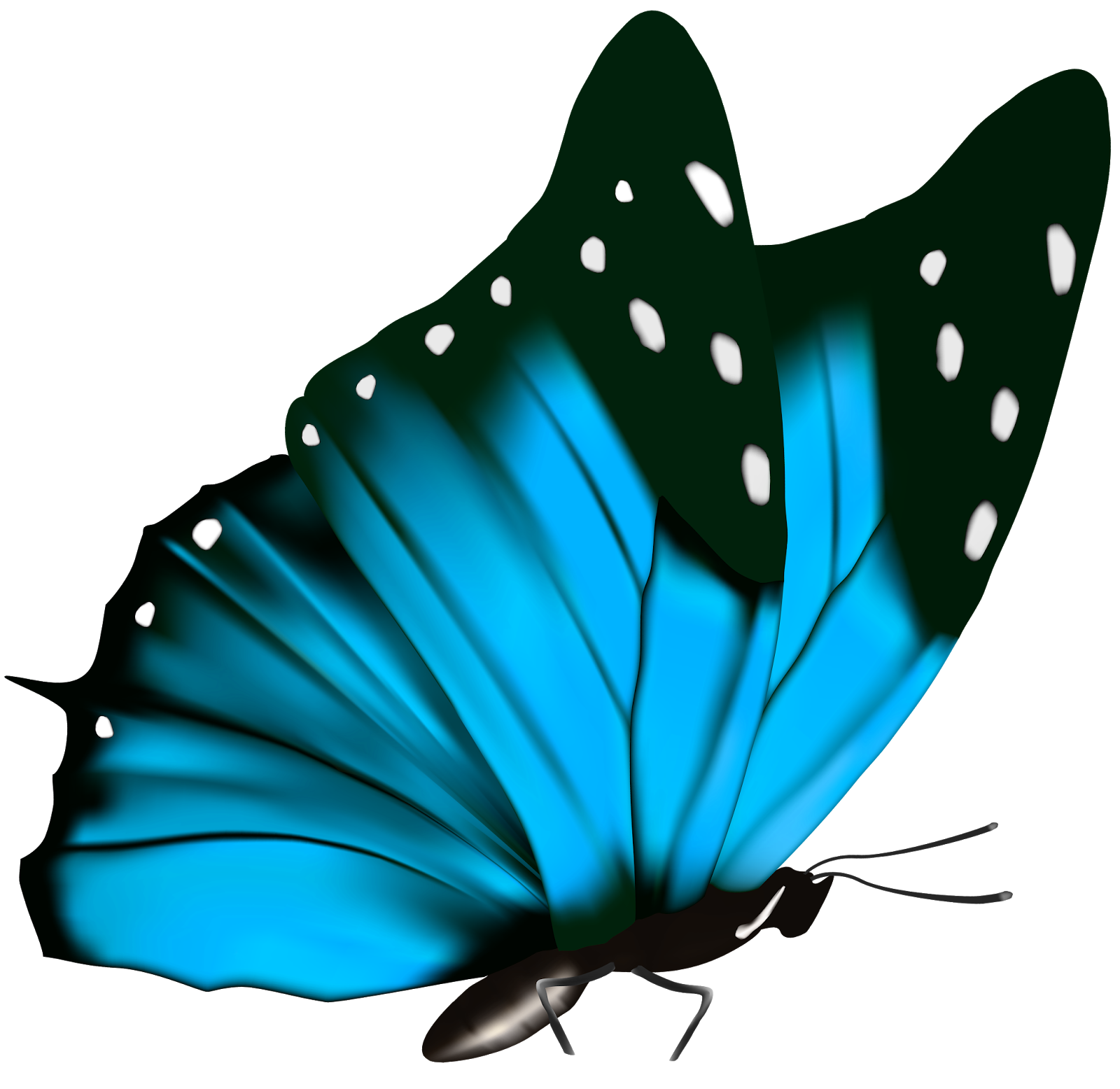 Бабочка. Зеленая бабочка. Зеленая бабочка на прозрачном фоне. Бабочка без фона.